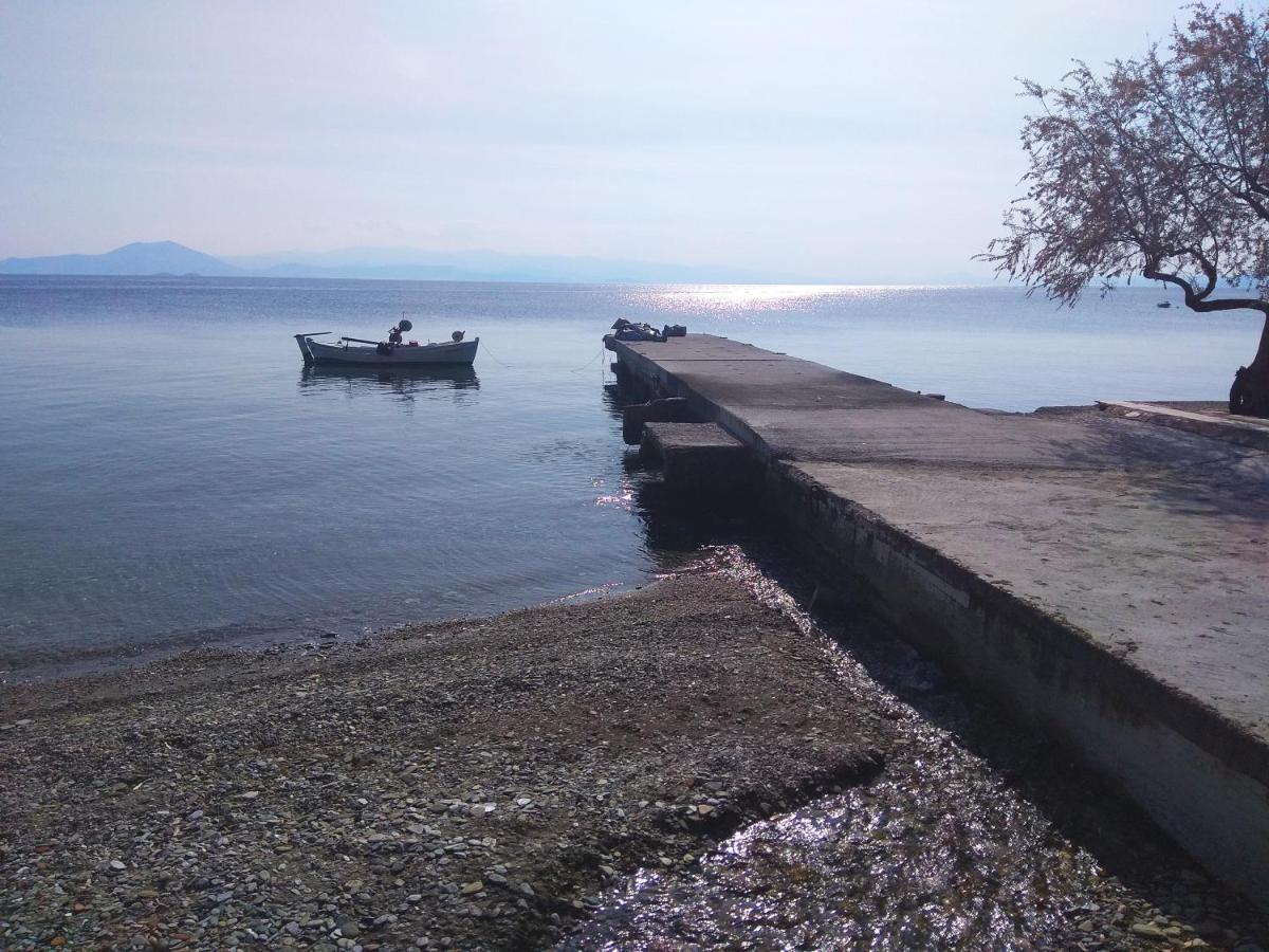 Marina Traditional Stonehouse Afétai Kültér fotó